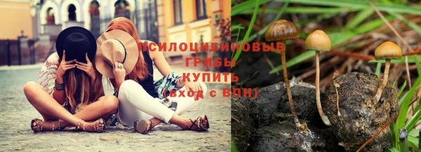 jwh Алексеевка
