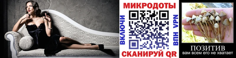 дарк нет наркотические препараты  Алупка  Псилоцибиновые грибы Psilocybine cubensis 